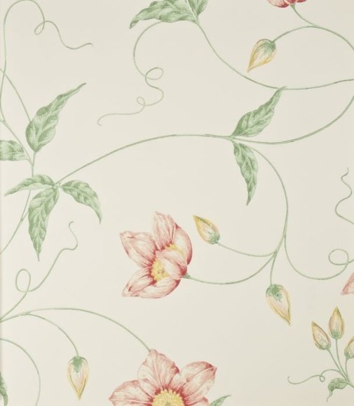 Обои Sanderson Classic Collection 2 DCLACL-101 изображение 1