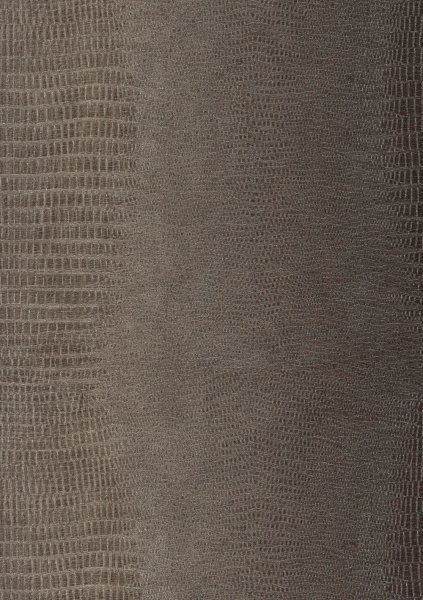 Обои Sirpi Muralto Decoskin 19355 изображение 1