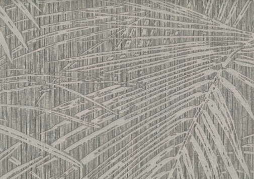 Обои Sirpi Shinan 50612 изображение 1