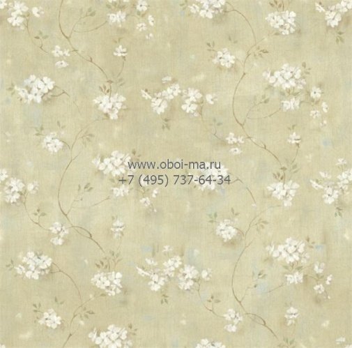 Обои Chesapeake Pure Country PUR44103 изображение 1