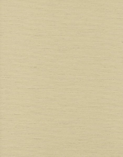 Обои Aura Texture World H2990205 изображение 1