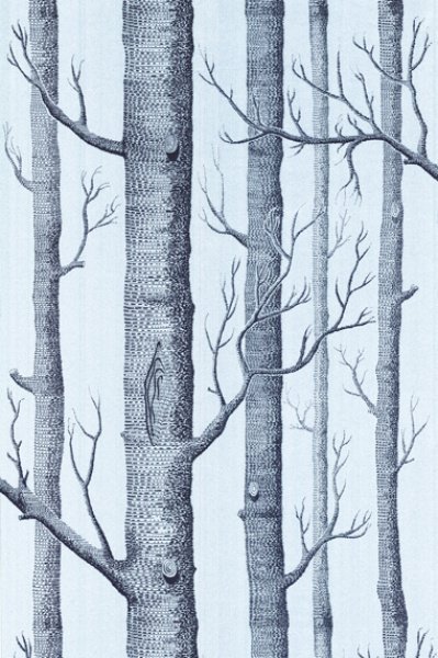 Обои Cole & Son Contemporary II 69-12150 изображение 1