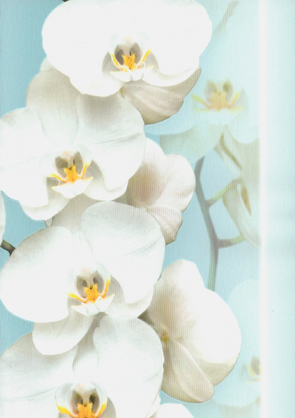 Обои Andrea Rossi Pianosa 54169-7 изображение 1