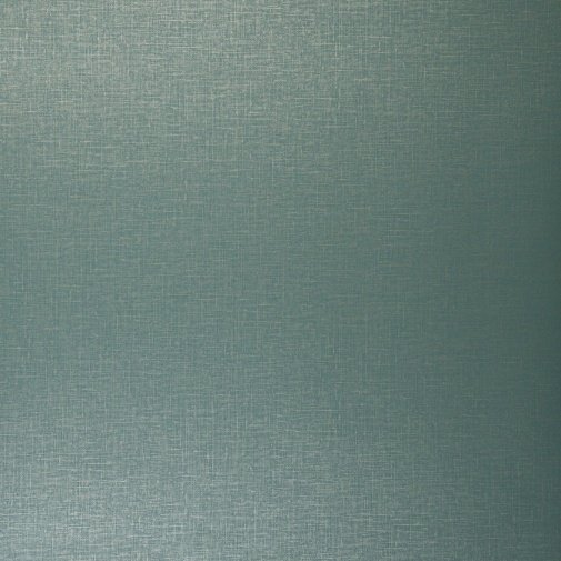 Обои Clarke & Clarke Showstoppers W0006-22 изображение 1