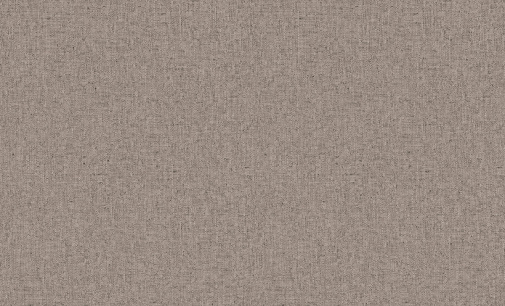 Обои Erismann Bolero 60192-06 изображение 1