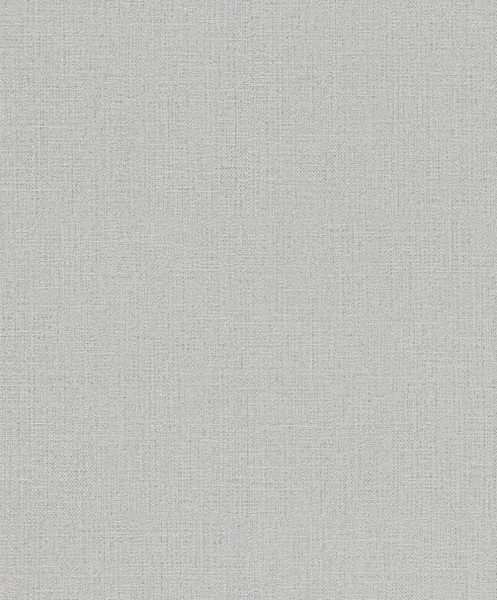 Обои Rasch Andy Wand 639612 изображение 1