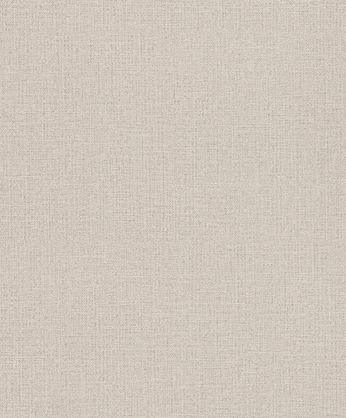 Обои Rasch Andy Wand 639629 изображение 1