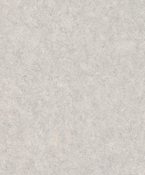 Обои Rasch Andy Wand 649321 изображение 1