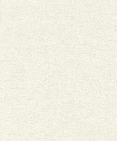 Обои Rasch Andy Wand 650501 изображение 1