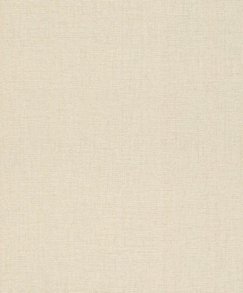 Обои Rasch Andy Wand 650570 изображение 1