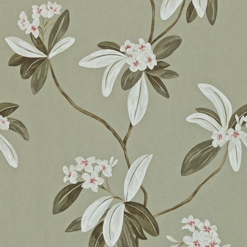 Обои Sanderson Richmond Hill DRCH212132 изображение 1