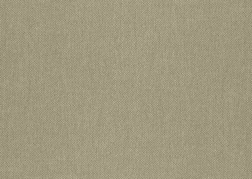 Обои Jannelli&Volpi Amazzonia 6552 изображение 1
