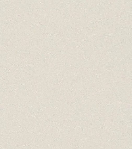 Обои Rasch African Queen II 474275 изображение 1