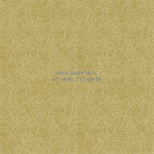 Обои Khroma B-Lounge BLO204 изображение 1