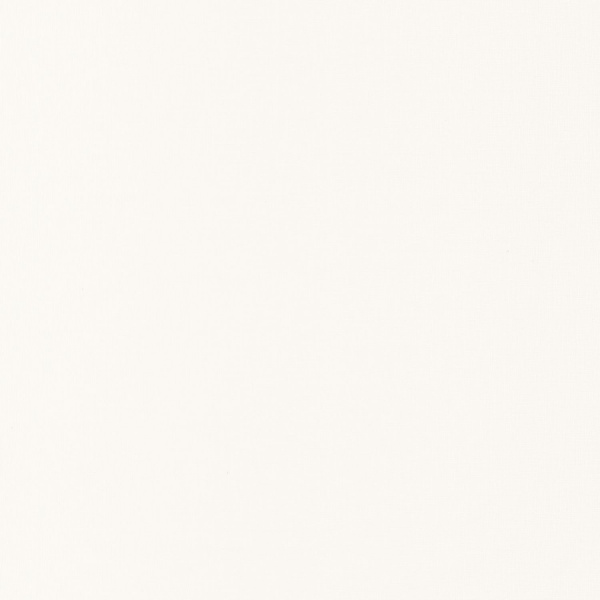 Обои Caselio Reliefs 68520000 изображение 1