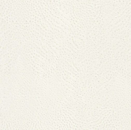 Обои Rasch African Queen II 423655 изображение 1