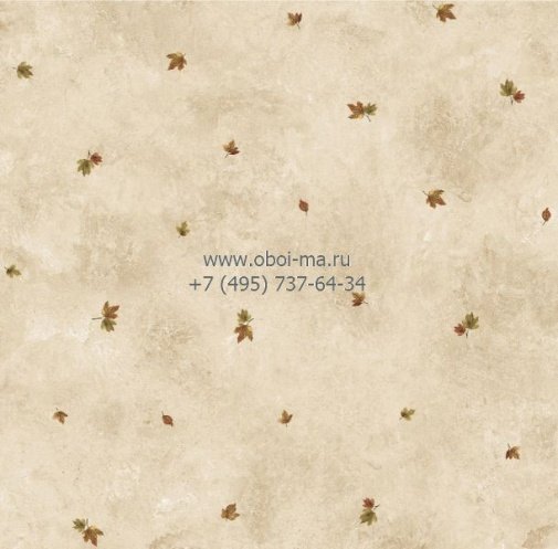 Обои Chesapeake Pure Country PUR49454 изображение 1