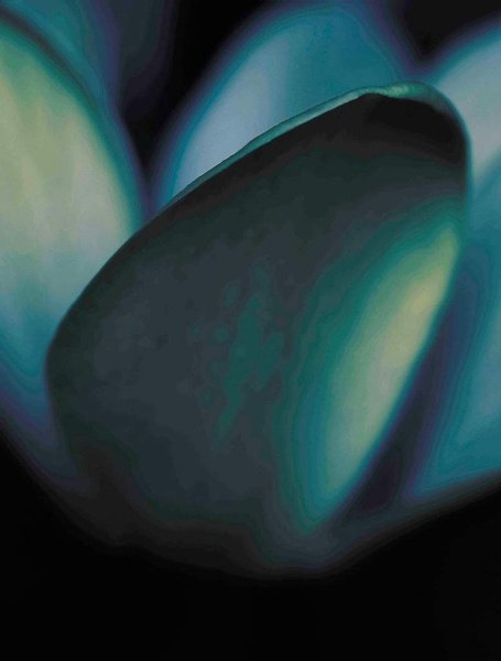 Обои Decoprint NV Arcadia EXD18580 изображение 1