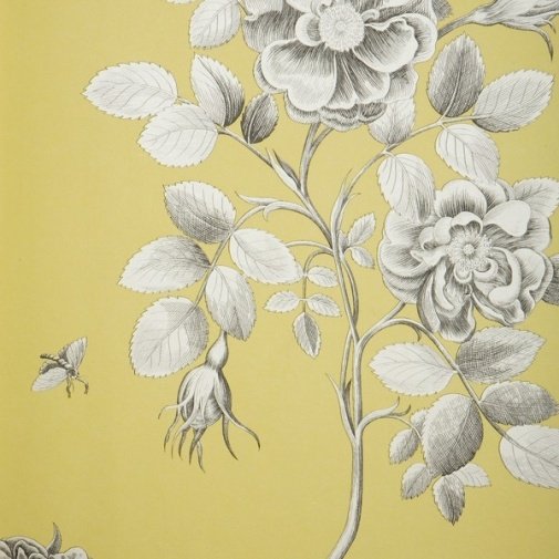 Обои Sanderson Parchment Flowers DPFWER104 изображение 1