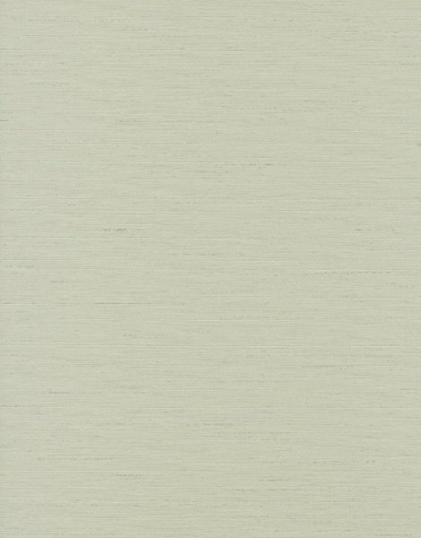 Обои Aura Texture World H2990206 изображение 1