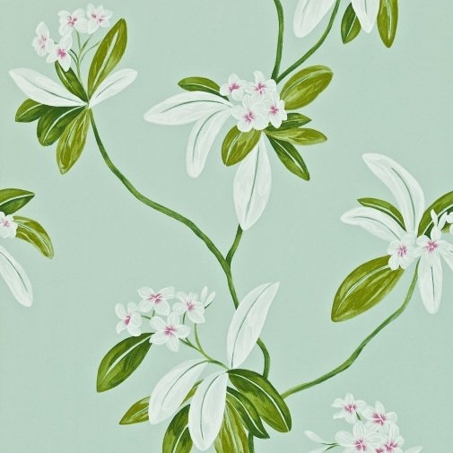 Обои Sanderson Richmond Hill DRCH212129 изображение 1