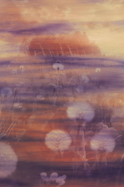 Обои Emiliana Parati Tendenze 73898 изображение 1