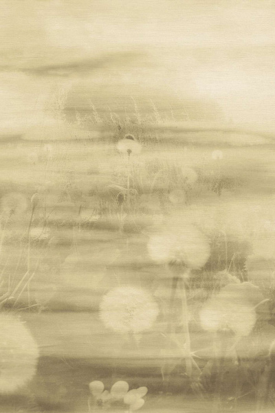 Обои Emiliana Parati Tendenze 73899 изображение 1