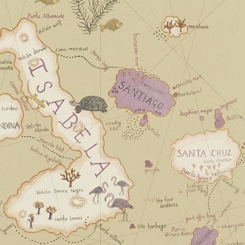 Обои Sanderson Voyage of Discovery Wallpapers DVOY213363 изображение 1