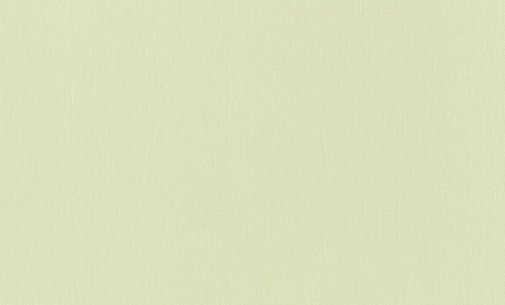 Обои Rasch New Wave 3 806014 изображение 1