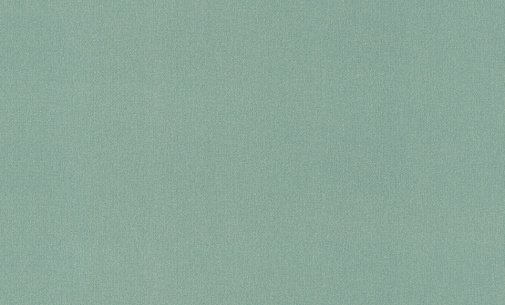 Обои Rasch New Wave 3 806038 изображение 1