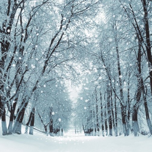 Обои Caselio No.10 65240090 изображение 1