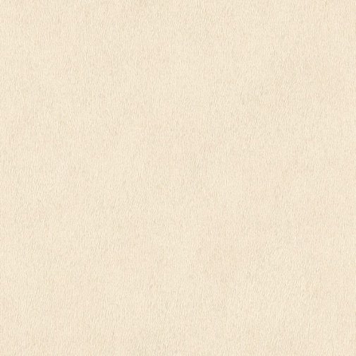 Обои Rasch African Queen II 422627 изображение 1