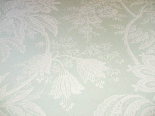 Обои Sanderson Toile Collection DEGTJT103 изображение 1