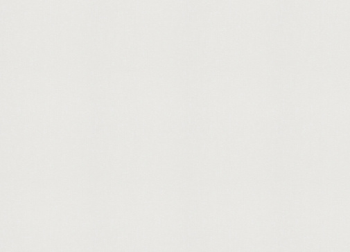 Обои Rasch Beltesto 899023 изображение 1