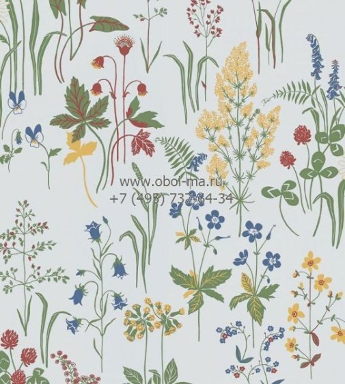 Обои Sandberg Flora Sandbergica 553-01 изображение 1