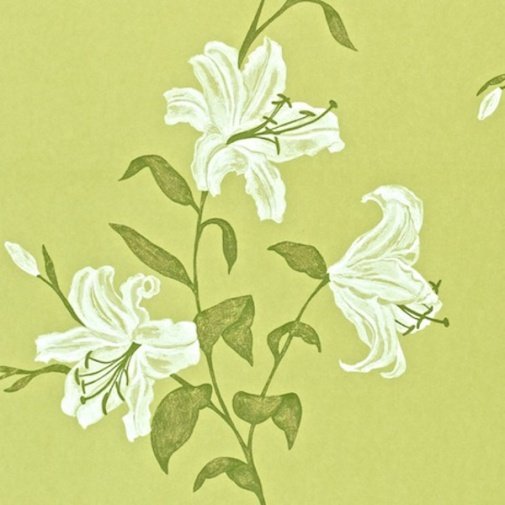 Обои Sanderson Painter's Garden DAPGSE104 изображение 1