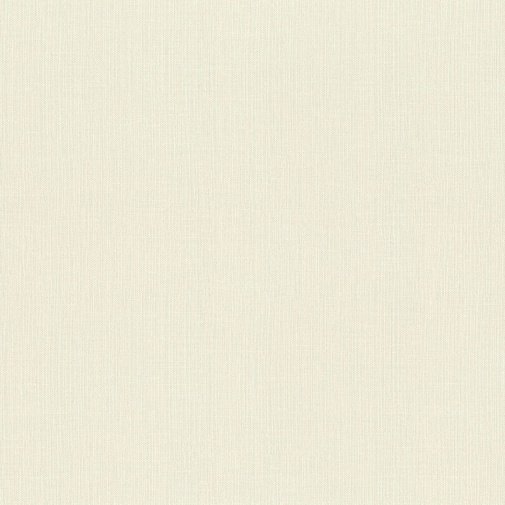 Обои Rasch Maximum XV 959505 изображение 1