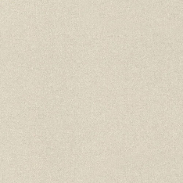 Обои Rasch Wall Textures XL 4 971347 изображение 1