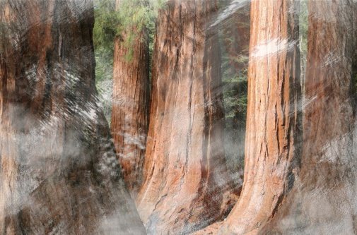 Обои Wall&Deco Contemporary Wallpaper 2011 GPW1104 изображение 1