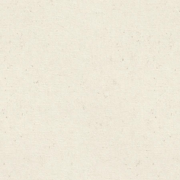 Обои Rasch Wall Textures XL 4 974201 изображение 1
