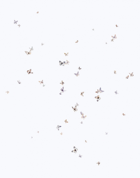 Обои Marburg Trace 97796 изображение 1