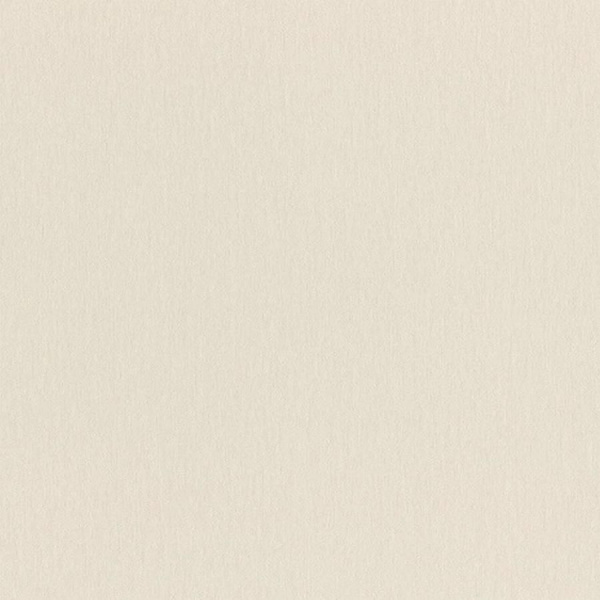 Обои Rasch Wall Textures XL 4 979343 изображение 1