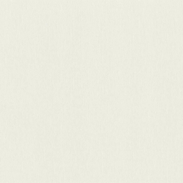 Обои Rasch Wall Textures XL 4 979350 изображение 1
