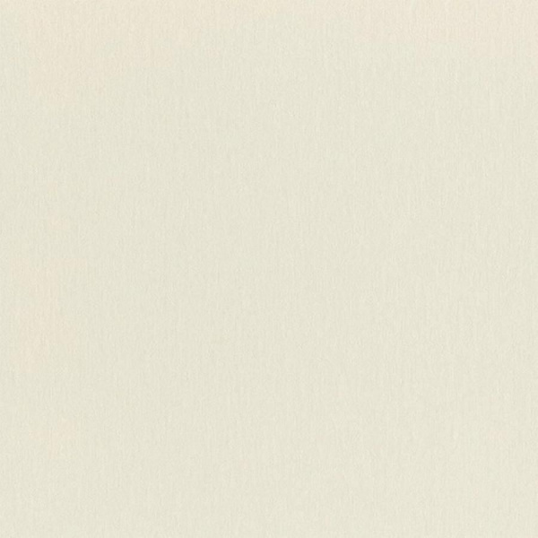 Обои Rasch Wall Textures XL 4 979367 изображение 1