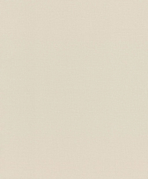 Обои Rasch Wall Textures XL 4 983609 изображение 1