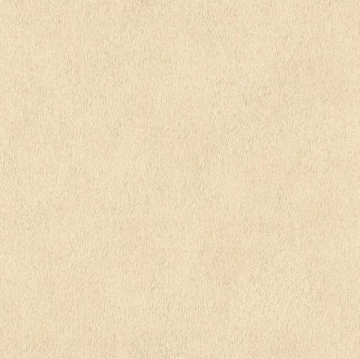 Обои Rasch African Queen II 422368 изображение 1