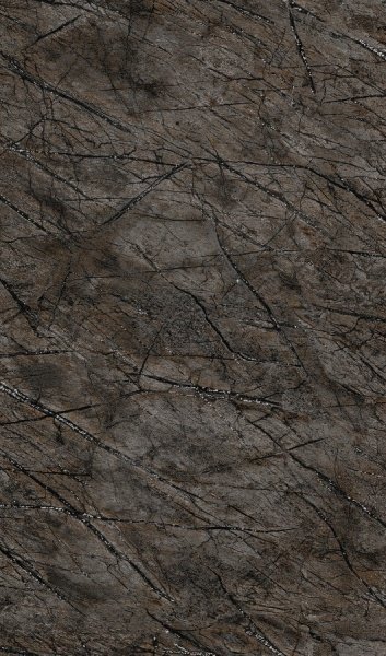 Обои Rasch African Queen II 474008 изображение 1