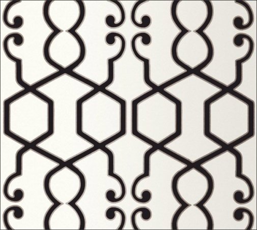 Обои Clarke & Clarke Viva W0010-02 изображение 1