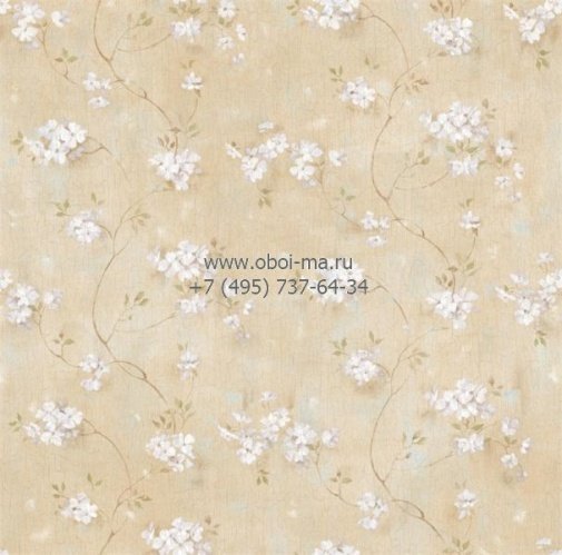 Обои Chesapeake Pure Country PUR44101 изображение 1