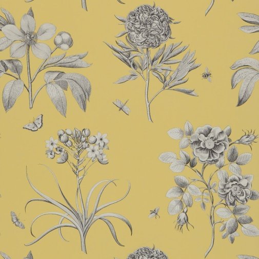 Обои Sanderson Classic Collection 2 DCLAEC-104 изображение 1